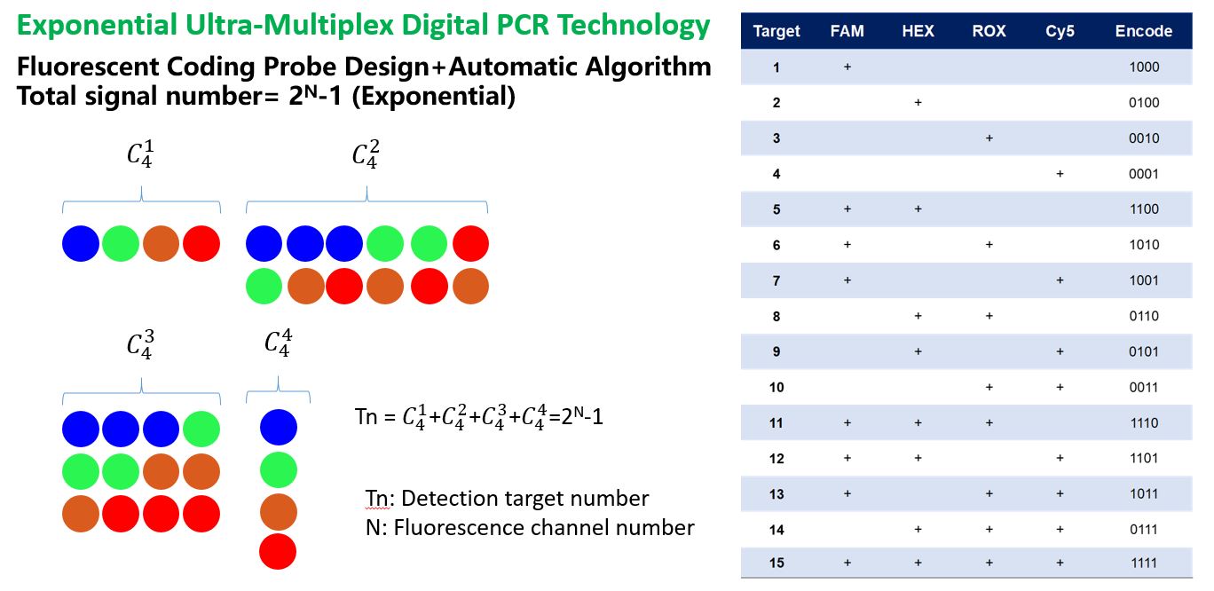 1710738431196933.jpg Detection Method- Ultra-Multiplex Digital PCR Technology.JPG
